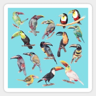 A Flock of Watercolor Toucans Magnet